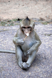 Similar image 21367656