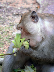 Similar image 21367658