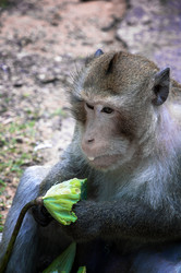 Similar image 21367661