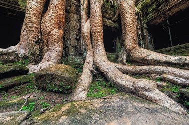 Similar image 21368218