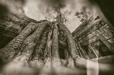 Similar image 21368533