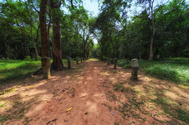 Similar image 21368540