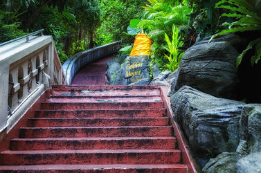 Similar image 21365784