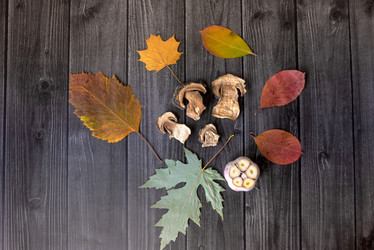 Similar image 21368545