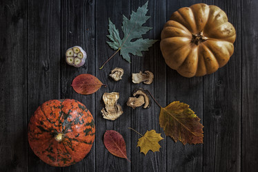 Similar image 21368547