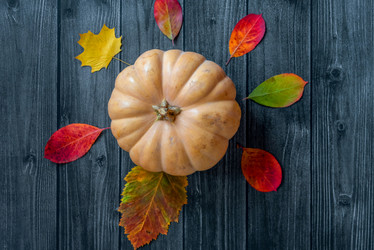 Similar image 21368549