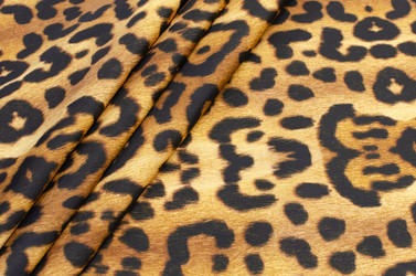 Similar image 21368560