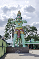 Similar image 21367985