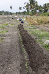 Similar image 21357533