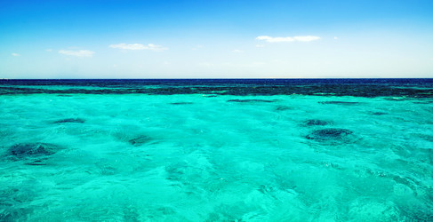 Similar image 21367726