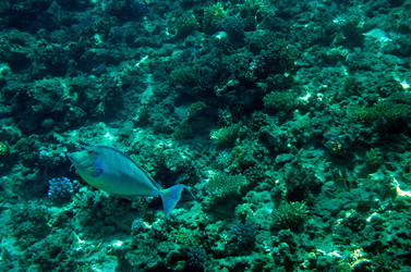 Similar image 21368580