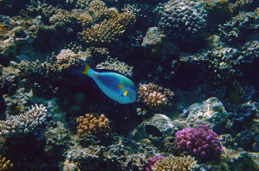 Similar image 21368582