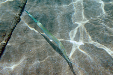 Similar image 21368583