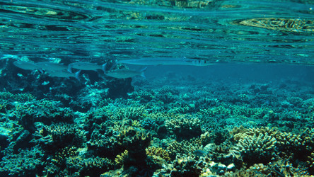 Similar image 21368587