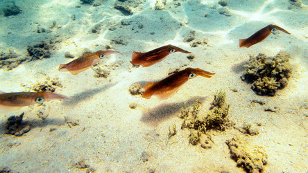 Similar image 21368882