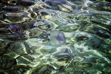 Similar image 21349071