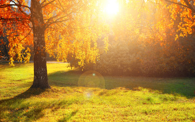 Similar image 21365830