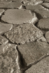 Similar image 21345829