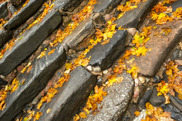 Similar image 21345835