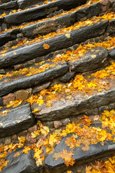 Similar image 21345836