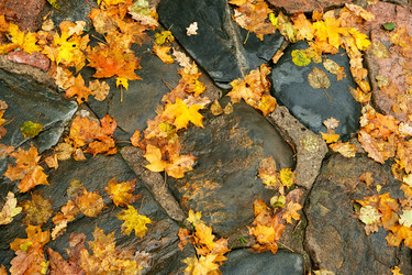 Similar image 21345837