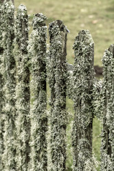 Similar image 21345841