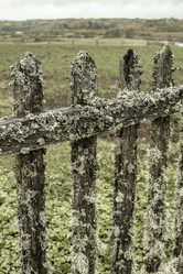 Similar image 21345842