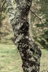 Similar image 21345843