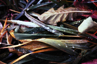 Similar image 21375688