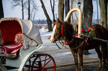 Similar image 21368275