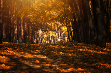 Similar image 21368280