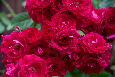 Similar image 21365842