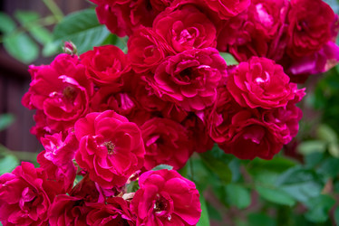 Similar image 21365843