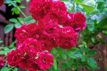 Similar image 21365846