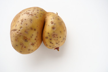 Similar image 21374973