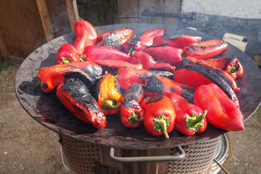 Similar image 21374981