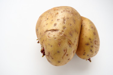 Similar image 21375150