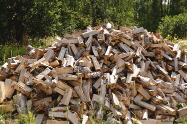 Similar image 21368991