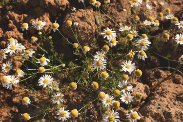 Similar image 21348245