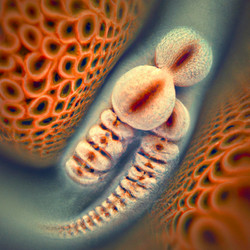 Similar image 21374983