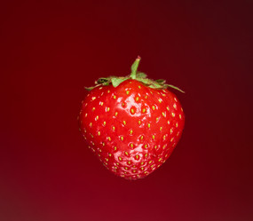 Similar image 21351192