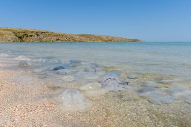 Similar image 21345448