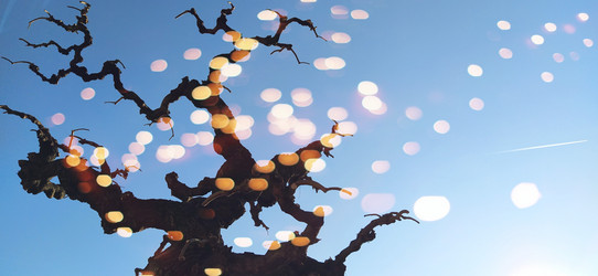 Similar image 21374525