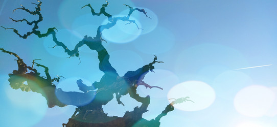 Similar image 21374528