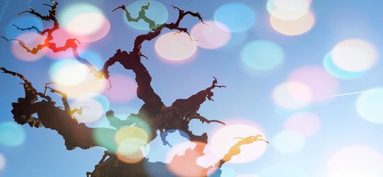 Similar image 21374530