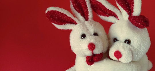 Similar image 21374533