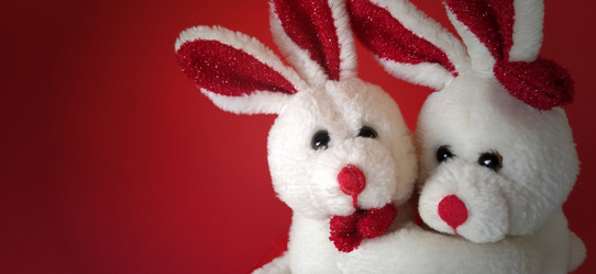 Similar image 21374537