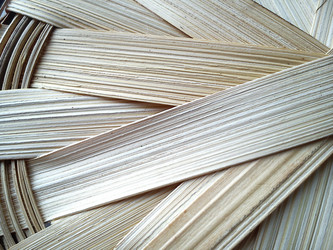 Similar image 21374541