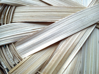 Similar image 21374543