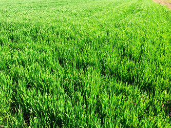 Similar image 21375157